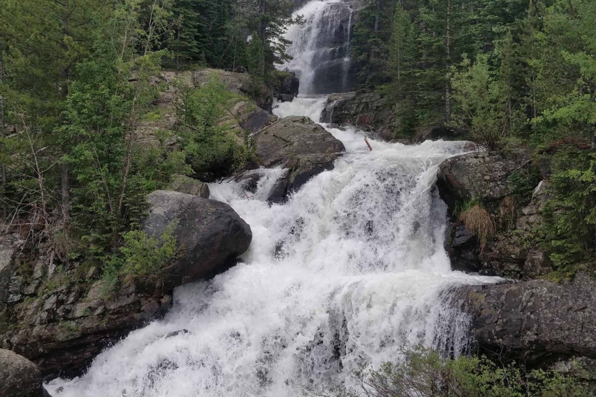 Adams Falls cascading through the forest on the East Inlet Trail