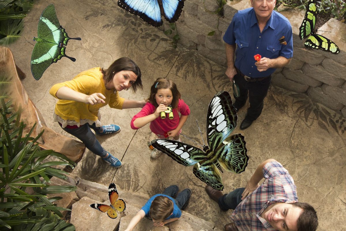 The butterfly mural photo spot at the Butterfly Palace