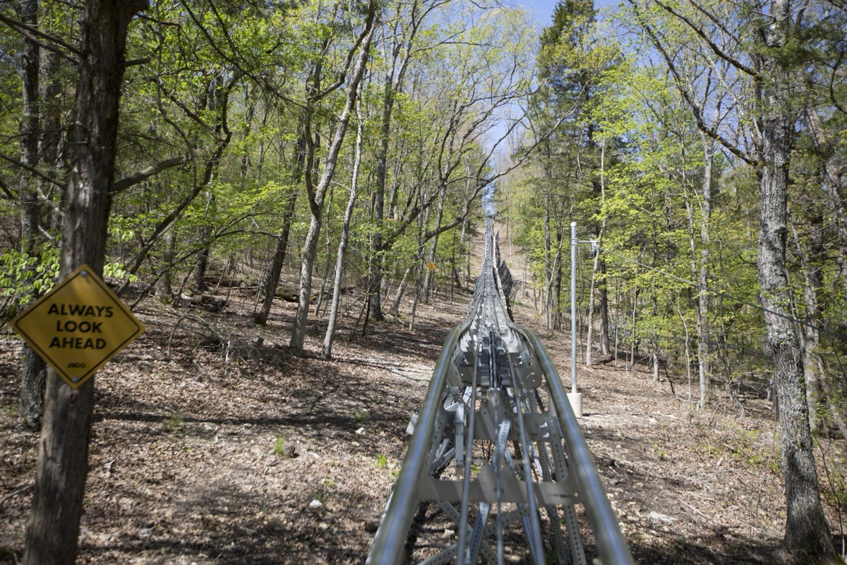 Mountain coaster track curving through forest